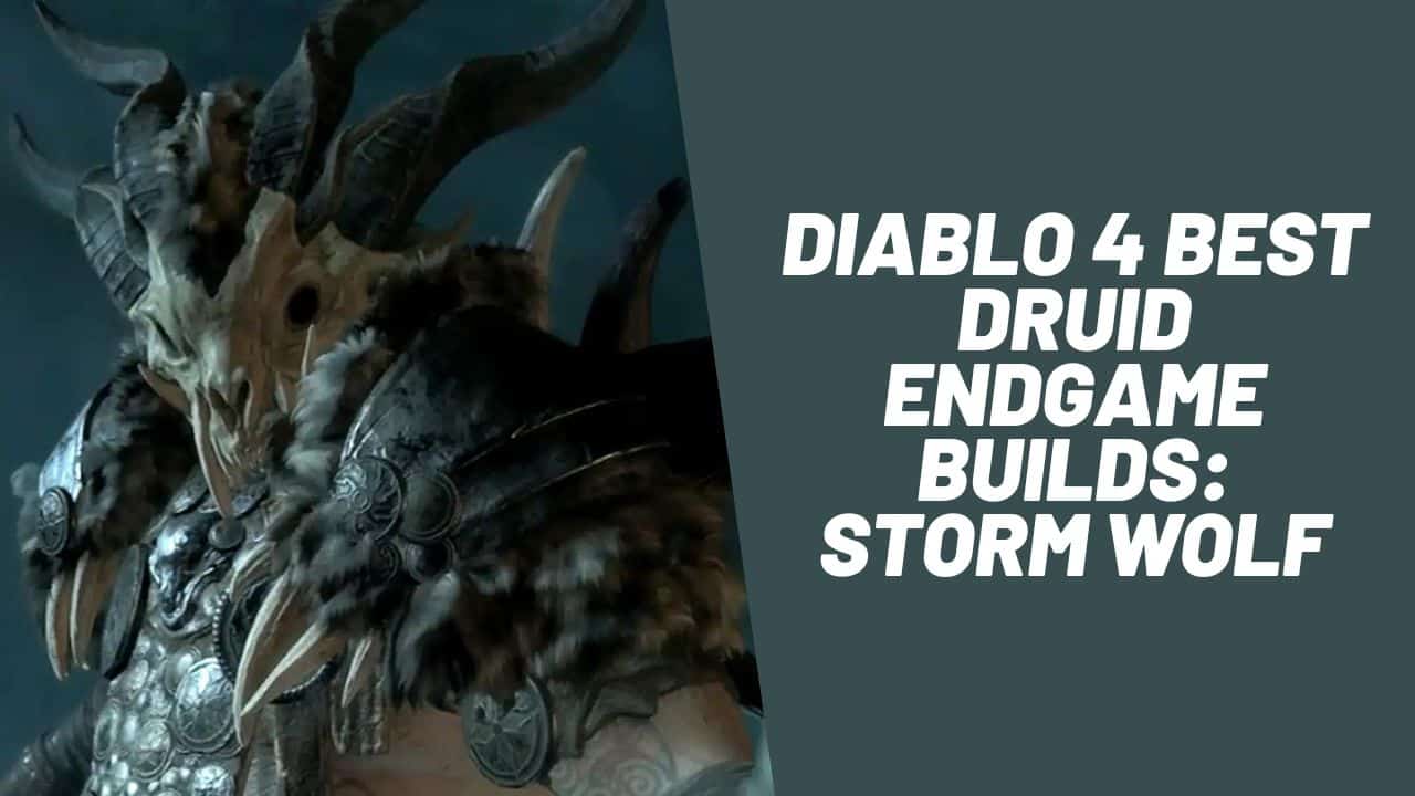 Diablo Best Druid Endgame Builds Storm Wolf Prairie State E Sports